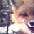 :iconkyuu-te: