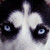 :iconkyuuphoto: