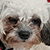 :iconkzmaew: