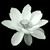 :iconl0tuseater: