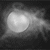 :iconl2aven: