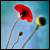 :iconl337m4st3r: