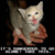 :iconl33dek: