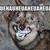 :iconl33t-girl:
