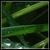 :iconl3tt3rb0mb: