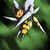 :iconl4dissweet: