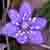 :iconl7b: