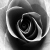:iconl8strequiem:
