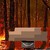 :iconl-dragoisunstopable: