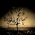 :iconl-escargot: