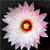 :iconl-is-fat-and-smelly: