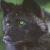 :iconl-shadow93-l: