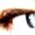 :iconla-feuille: