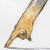 :iconla-marussia: