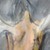 :iconla-monion: