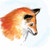 :iconla-piccolo-volpe: