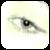 :iconla-sarri-kins: