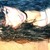 :iconlabantwissel: