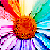 :iconlabellesurlabateau: