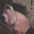 :iconlabelzzz: