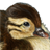 :iconlabluvr: