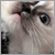 :iconlaboratory14: