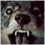 :iconlabradorretriever: