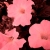 :iconlabrianne: