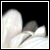 :iconlabyrinth-stock:
