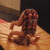 :iconlabyrinthfreak:
