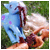 :iconlaceejart: