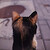 lacrimalsoul :iconlacrimalsoul: