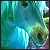 :iconladdielover: