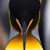 :iconladell: