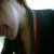 :iconladieh: