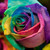 :iconladiidooda: