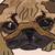 :iconladradianime: