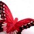 :iconlady-anna: