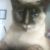 :iconlady-auron: