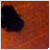 :iconlady-bugs: