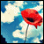 :iconlady-buu: