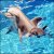 :iconLady-Eleonora: