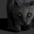 :iconlady-juniest: