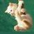 :iconlady-n-6: