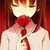 :iconlady-of-redrose: