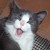 Lady-of-the-Lazy :iconlady-of-the-lazy: