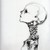 :iconlady-orion: