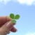:iconlady-simple: