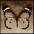:iconlady-thing: