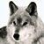 :iconLady-Vetinari: